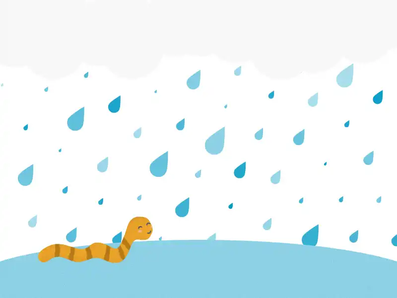 Wurm im regen