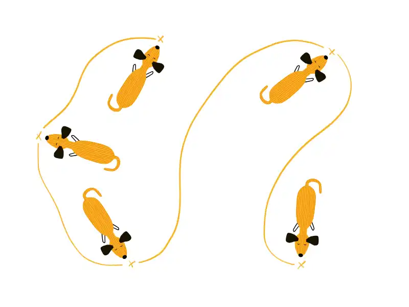 Hund verfolgt eine Spur