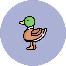 button ente