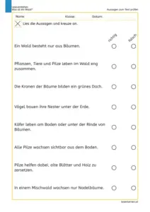 Arbeitsblatt „Was ist ein Wald?“ mit Aussagen zum Ankreuzen für die 3. Klasse