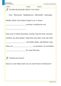 Arbeitsblatt „Der Wald als Lebensraum“ mit Lückentext und Verständnisfrage für die 3. Klasse