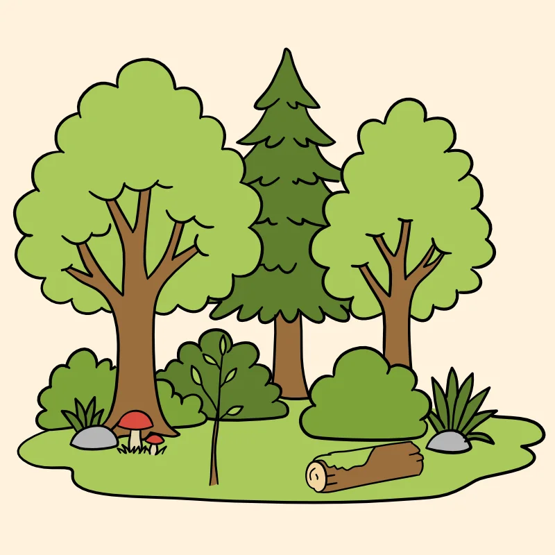 ein Wald mit Bäumen und Sträuchern