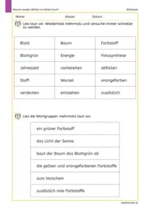 Arbeitsblatt zum Blitzlesen mit zentralen Wörtern und Wortgruppen aus dem Sachtext „Warum werden Blätter im Herbst bunt?“
