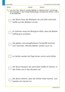 Vom grünen zum bunten Blatt – Arbeitsblatt für die 3. Klasse