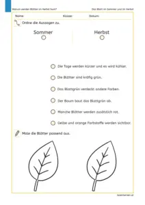 Arbeitsblatt zum Leseverstehen mit Aussagen über Blätter im Sommer und Herbst sowie zwei Blättern zum Ausmalen.