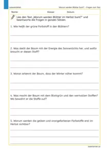 Warum werden Blätter bunt? – Fragen zum Text für die 3. Klasse