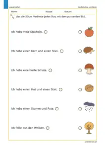 Herbstsätze verstehen – Arbeitsblatt zum Sätze lesen in der 1. Klasse
