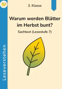Cover des Leseverstehensmaterials „Warum werden Blätter im Herbst bunt?“ für die 3. Klasse