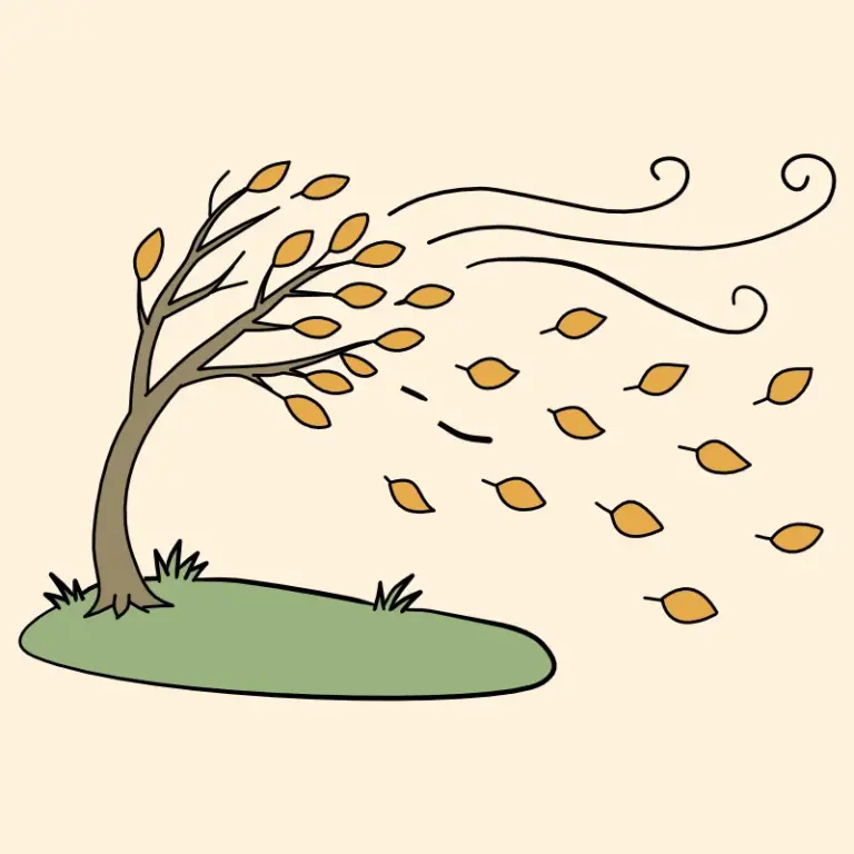 Bild zum Text: Vom Wind. Ein Baum im Sturm
