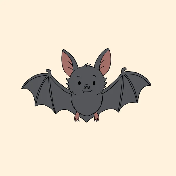 Fledermaus – Sachtext für die 3. Klasse